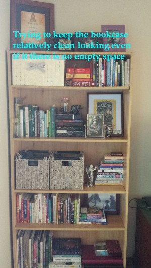 uncluttered bookcase